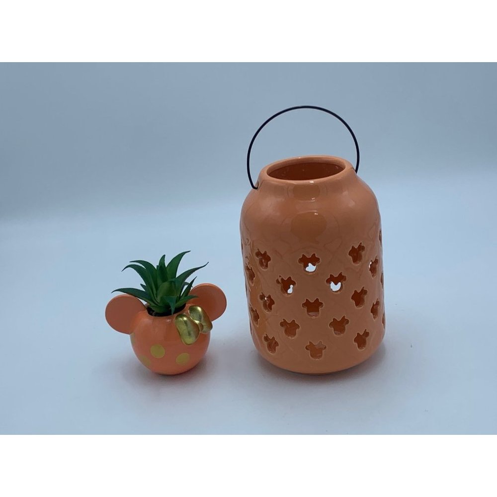 Disney Minnie Mouse Ceramic Garden Lantern & Succulent